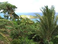 Dominica... a dream!